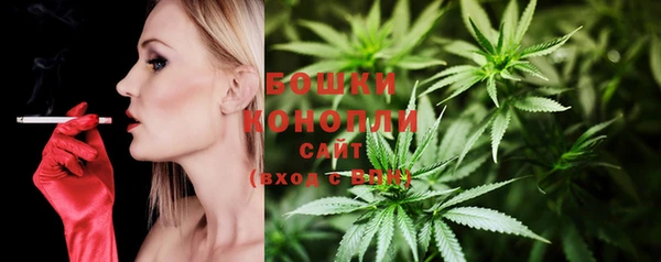 прущие грибы Володарск