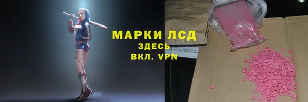 прущие грибы Володарск