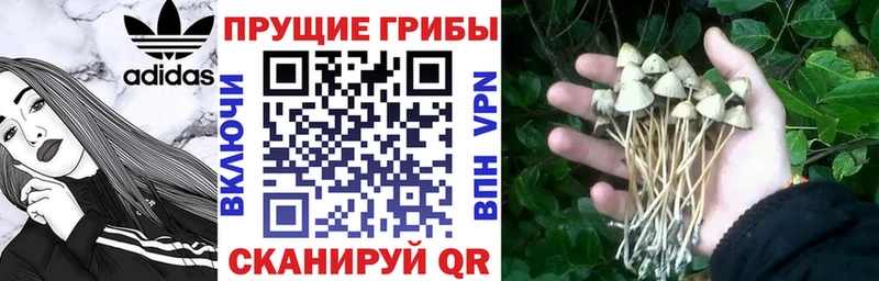 Галлюциногенные грибы мухоморы  Волжский 